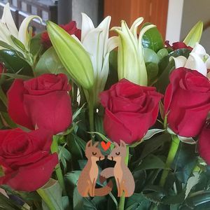 Meet your Posher, Kelley